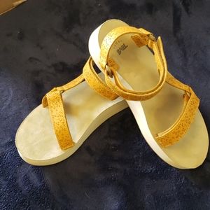 Tevas Midform Universal